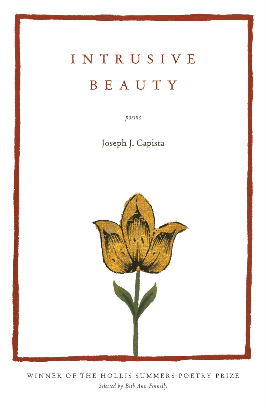 The Front Cover of Intrusive Beauty